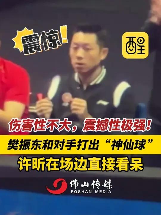 PG电子游戏-中国队翻盘奥地利队，许昕点燃赛场