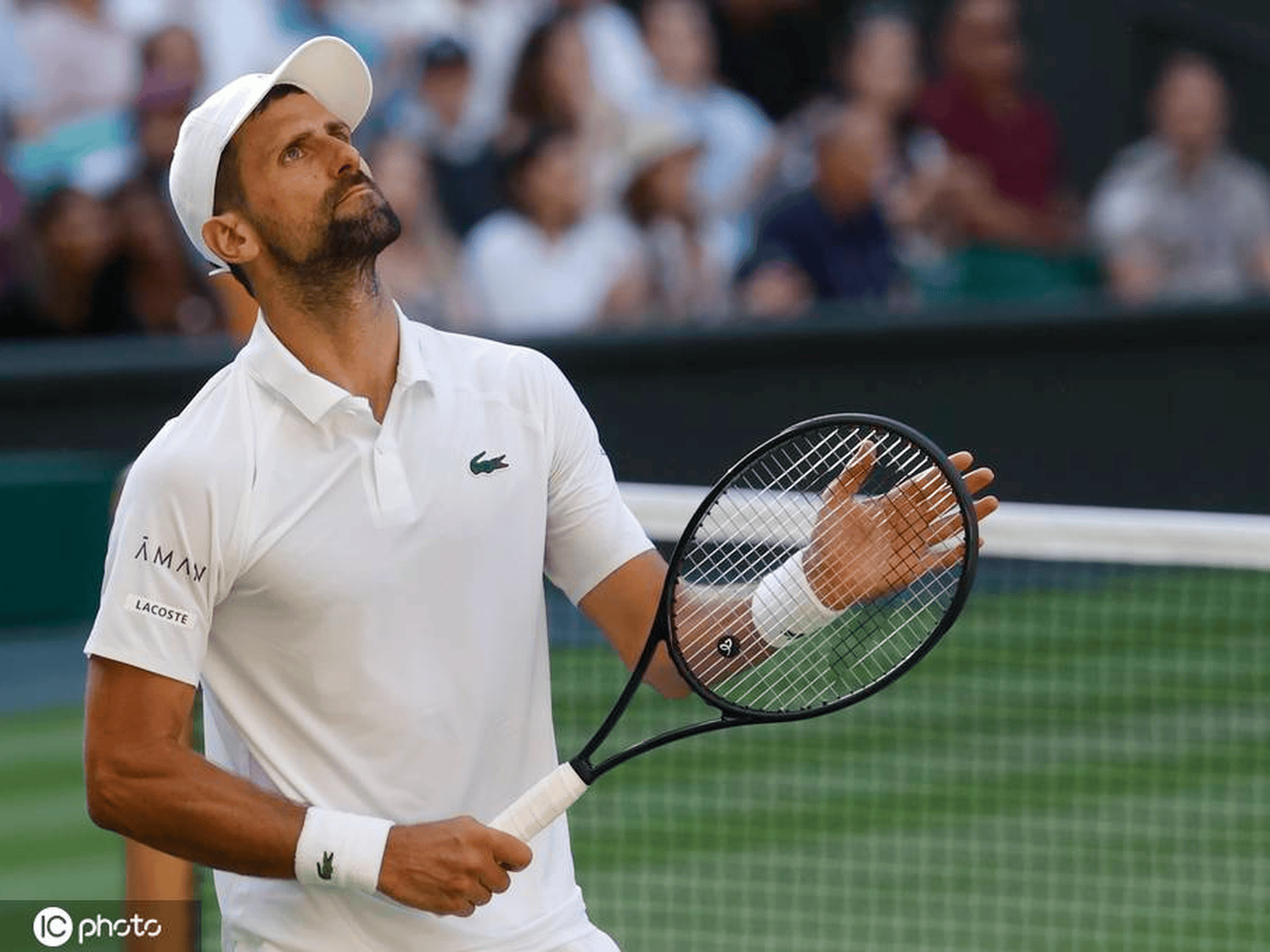 包含联合杯逆转年终总决赛，德约科维奇统治全场的词条