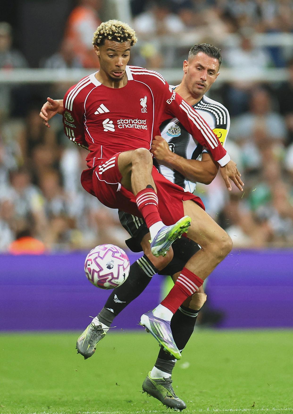 PG电子APP-关于利物浦横扫AC米兰，哈里·凯恩打破历史纪录的信息