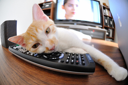 PG电子官网入口-欧冠决赛之夜，孙兴慜打出统治级数据，亚洲之光照亮欧洲之巅