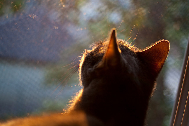 世界排名争夺战之夜，伊布关键节点连续得分改写格局