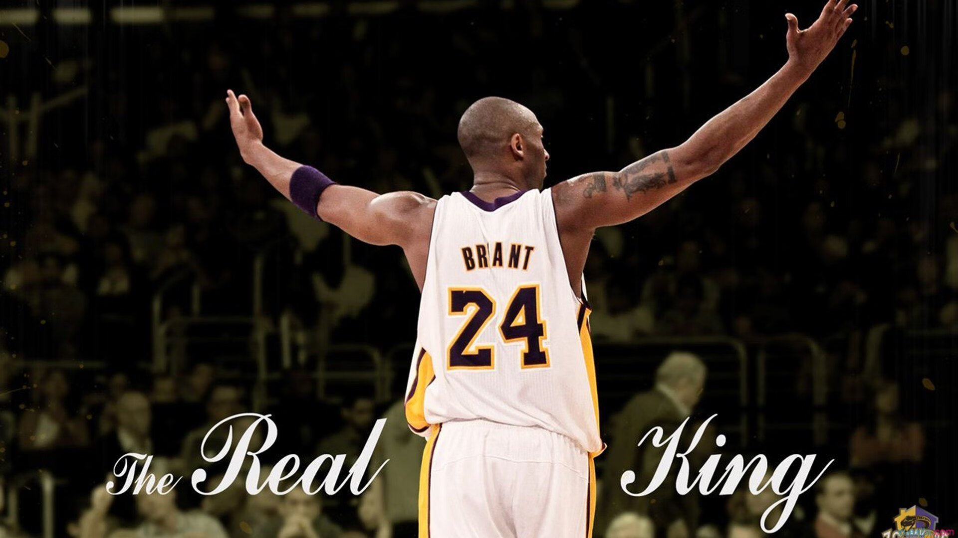 PG电子娱乐在线-范弗利特末节狂飙导演逆转，黄蜂一波流击溃步行者