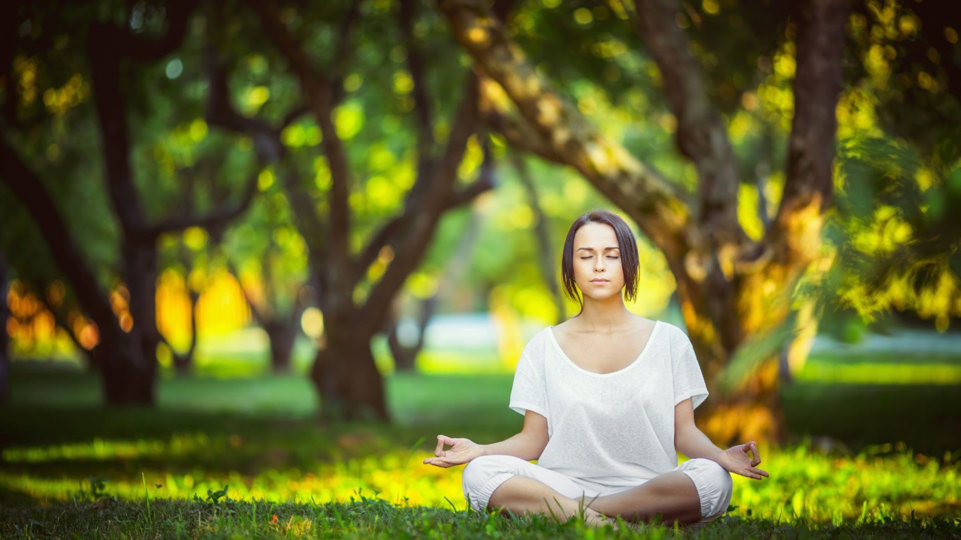 PG电子官网入口-构思（扩展思维）